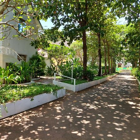 Angels Resort Aradi Socorro Exterior foto
